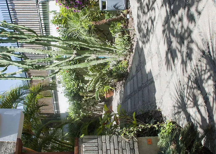 Apartment El Paseo Playa del Ingles (Gran Canaria)