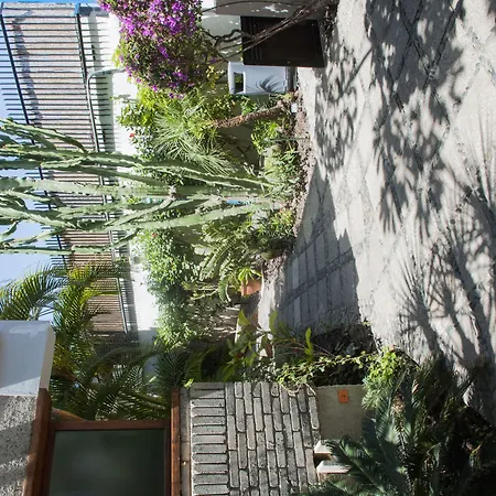 Apartament El Paseo Playa del Inglés