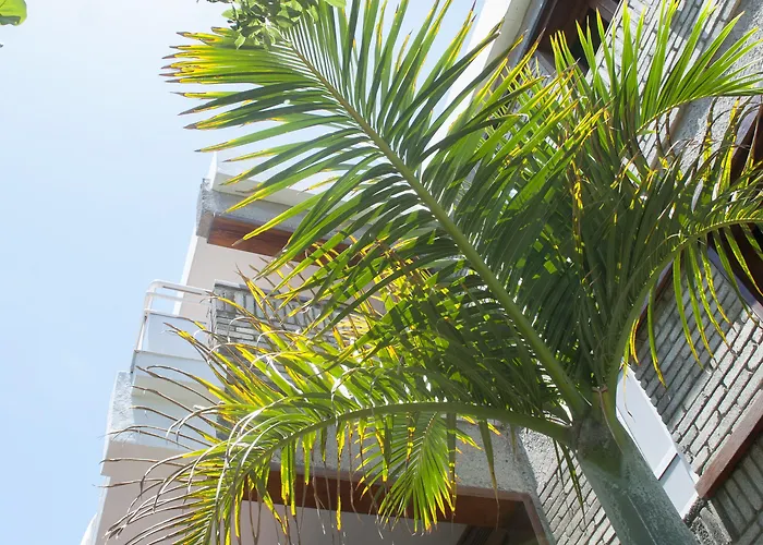 El Paseo * Playa del Inglés